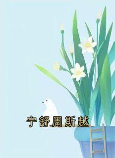 主角宁舒周斯越的小说作者大神-随缘阅读网