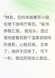 苏晚林墨章节免费阅读