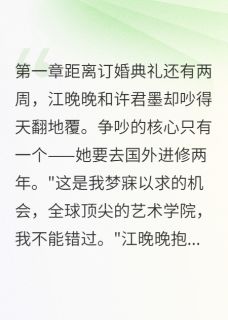 分手一年她坐轮椅回来了在线全文阅读-主人公江晚晚许君墨沈默小说-随缘阅读网