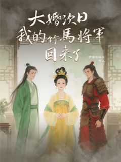 良心推荐大婚次日，我的竹马将军回来了小说试读