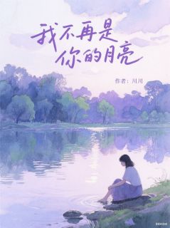 川川的小说我不再是你的月亮全文阅读