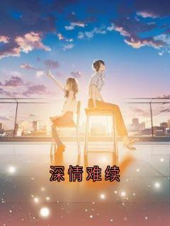 小说家的小说深情难续主角是宁婉江殊