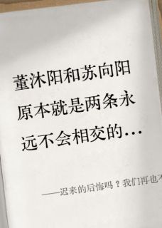 迟来的后悔吗？我们再也不见完整版免费阅读，董沐阳苏向阳小说大结局在哪看