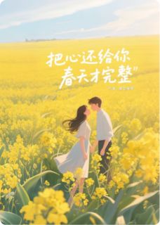 把心还给你，春天才完整林羡沈砚无广告在线阅读
