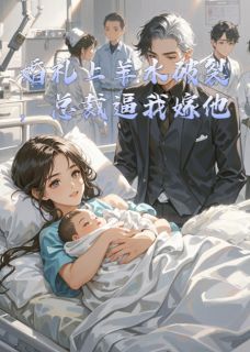 优质新书婚礼上羊水破裂，总裁逼我嫁他最新章节小说全文阅读-随缘阅读网