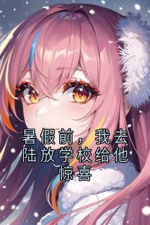 暑假前，我去陆放学校给他惊喜清梨陆放全章节在线阅读