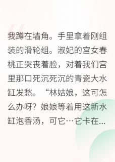 全后宫都在看我搞发明小说(连载文)-苏云袖春桃琴轸无广告阅读