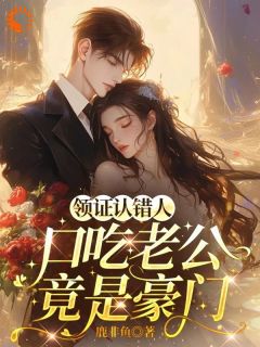 无广告小说领证认错人，口吃老公竟是豪门-秦念陆屿在线阅读