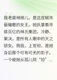主人公林婉儿高扬在线免费试读结婚纪念日她带回了我的“替身”最新章节列表