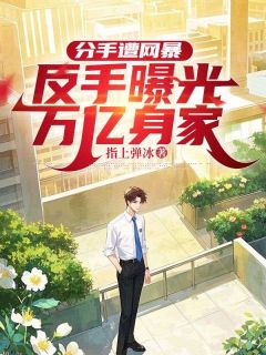 分手遭网暴，反手曝光万亿身家江林秦梦瑶小说完整在线阅读