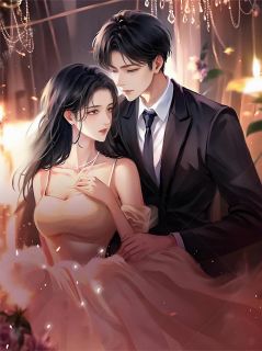 离婚后献身白月光，回头找我复婚章节目录小说-陆沉舟傅琛周慕白免费阅读全文