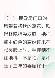 小说推荐离婚当天，霸道总裁喊我太太完结版全章节阅读