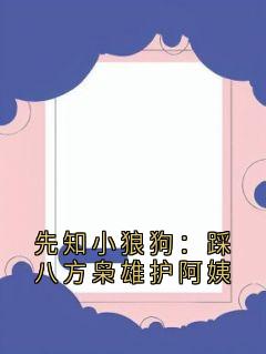 抖音完结先知小狼狗:踩八方枭雄护阿姨云婉华魏茂(全文在线阅读)-随缘阅读网