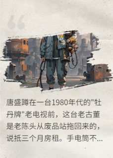 人格租赁：锈带修理工的救赎之路完整版免费阅读，唐盛小九小说大结局在哪看