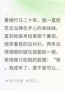 林辰苏念完整版我的妹妹，总想和我越界全文最新阅读-随缘阅读网