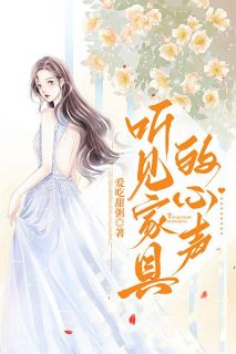 听见家具的心声小丁珍珍第十全章节目录免费阅读