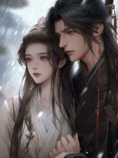 夫君为双胞胎点天灯后，我改嫁他人(新书)大结局在线阅读