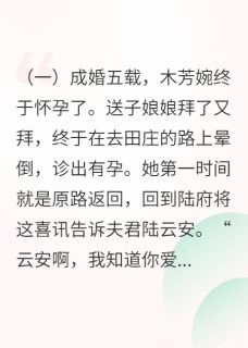 渣男找人生儿子，她走后他却疯了小说免费阅读 木芳婉陆云安魏容湘大结局完整版