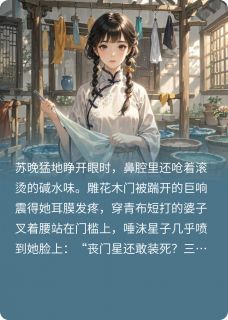 新书推荐染坊重生完整版小说-苏晚云锦最新章节阅读