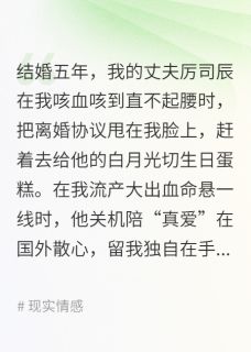 抖音小说【厉司辰林薇】全集免费版在线阅读