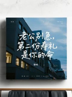 陆怀瑾苏婉婉全本章节在线阅读大结局