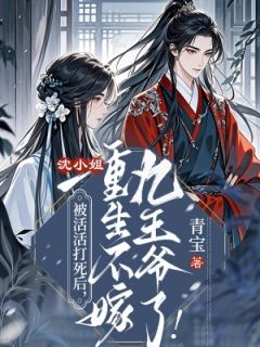 青宝的小说被活活打死后，沈小姐重生不嫁九王爷了！全文阅读