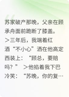 总裁的赎罪苏晚顾承舟免费阅读-总裁的赎罪武村的约克城小说