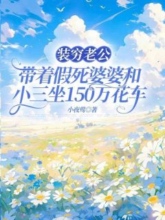 免费试读主角齐书洛妞妞齐岚岚小说