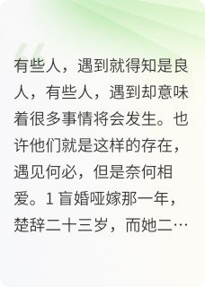 何必奈何(新书)大结局在线阅读