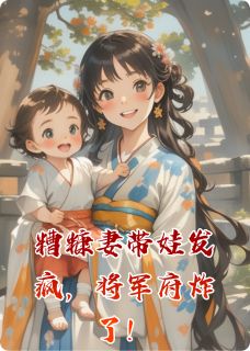(精品)糟糠妻带娃发疯，将军府炸了！小说