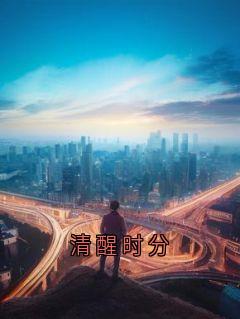 清醒时分by神秘人(沈良洲陆时宜)未删节免费阅读