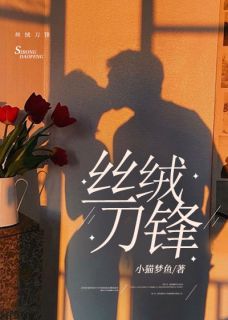 江宁祁瑾洲丝绒刀锋小说完整版