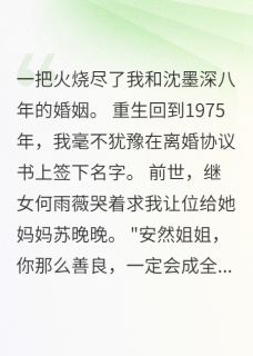 抖音军嫂八年换来假离婚我头也不回txt小说阅读
