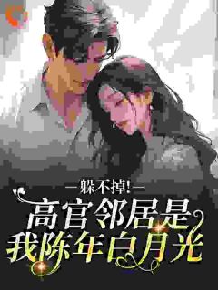 陆县长，请关灯梁初楹陆政安免费阅读-陆县长，请关灯番茄没有皮小说