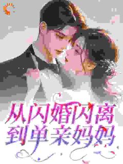 抖音小说从闪婚闪离到单亲妈妈主角林夏陈砚全文小说免费阅读