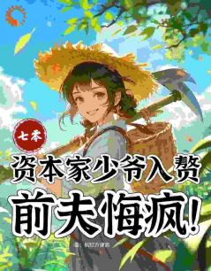 苏小满顾沉安七零：资本家少爷入赘，前夫悔疯小说完整版