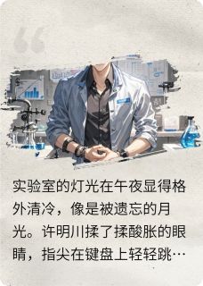 许明川林夏远大的辉煌小说全章节最新阅读