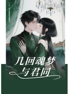 在二郎府磨砺的苏辙写的小说几回魂梦与君同在线阅读