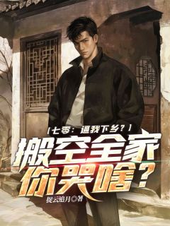 (抖音小说)黄云辉宋桂芳小说全文阅读免费