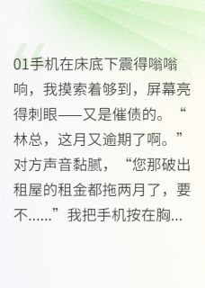 破产CEO的温婉保姆小说全集(苏晚照周明远陈默)无弹窗广告阅读