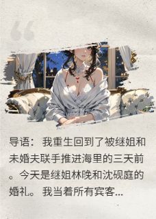 会说会笑的机器人写的小说姐夫，这婚你别结了沈砚庭陆哲林晚全文阅读