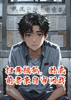 好书推荐扫黄被抓，卧底前妻亲自审问我林岚陈默全文在线阅读