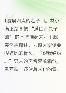 免费完结小说总裁的包子铺逃跑计划林小满陆承宇无弹窗免费阅读