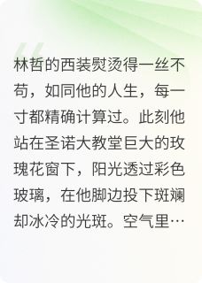 偶尔任性，生命锦绣免费阅读全文，主角林哲苏晚小说完整版最新章节