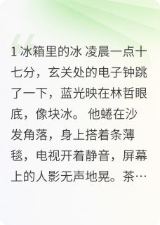 小说推荐离婚后回老家遇到年少时的她完结版全章节阅读