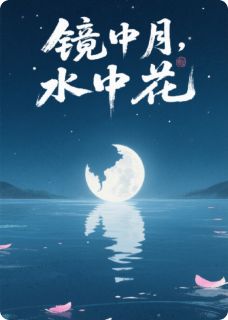 全章节小说镜中月，水中花八眼怪咖最新阅读