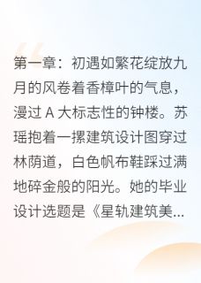 星河坠，情殇难愈小说好看吗 苏瑶陆逸辰最后结局如何-随缘阅读网