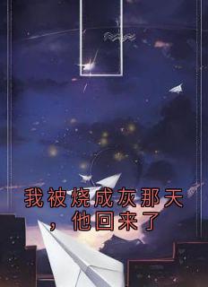 (独家)我被烧成灰那天，他回来了林夏林童小说