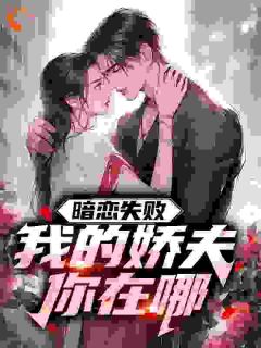 抖音爆款暗恋失败，我的娇夫你在哪王腾李星月无广告阅读
