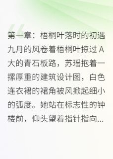 [抖音]小说苏瑶陆逸辰碎影里的余温-随缘阅读网